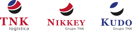 Grup TNK